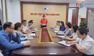 Đổi mới hoạt động các hội quần chúng sau sắp xếp, tinh gọn