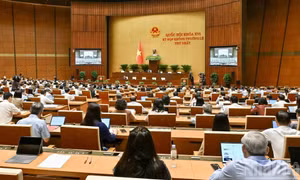 Hoàn thiện thể chế, đáp ứng yêu cầu xây dựng nền quốc phòng toàn dân trong tình hình mới