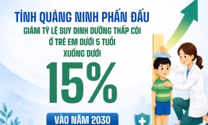 Dưới 15% - là tỷ lệ suy dinh dưỡng thể thấp còi ở trẻ em dưới 5 tuổi Quảng Ninh phấn đấu đạt vào năm 2030