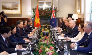 Tuyên bố chung giữa Việt Nam và New Zealand nhân chuyến thăm cấp Nhà nước của Tổng Bí thư, Chủ tịch nước Tô Lâm tới New Zealand