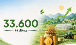 33.600 tỷ đồng - là doanh số cho vay lĩnh vực nông nghiệp, nông thôn tại Quảng Ninh từ đầu năm đến nay