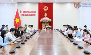 Chủ tịch UBND tỉnh nghe và cho ý kiến về kế hoạch thu hút đầu tư