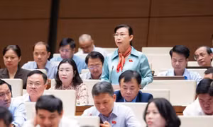 Bảo đảm minh bạch, thống nhất trong cắt giảm ngành, nghề kinh doanh có điều kiện