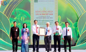 Tưng bừng khai mạc Lễ hội Trà Đường Hoa 