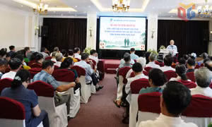 Tập huấn nghiệp vụ hoạt động câu lạc bộ liên thế hệ tự giúp nhau