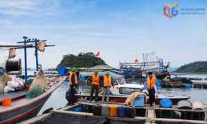 Xã Đầm Hà siết chặt quản lý, chống khai thác IUU