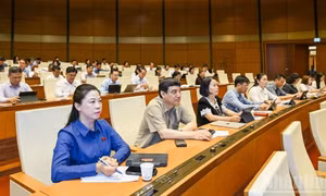 Đề xuất cắt giảm 40 thủ tục, 40 điều kiện kinh doanh lĩnh vực nông nghiệp và môi trường
