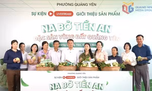 Nông sản Quảng Ninh "lên sàn, lên sóng"