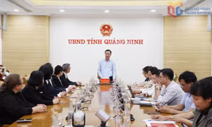 Lãnh đạo UBND tỉnh làm việc với Tập đoàn Central Retail