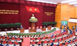 Bảo vệ môi trường, chủ động ứng phó với biến đổi khí hậu