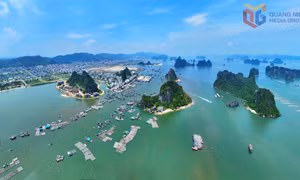 Vân Đồn thăng hoa