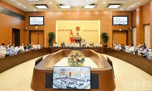 Thống nhất trình Quốc hội xem xét, thông qua việc thành lập thành phố Quảng Ninh, thành phố Bắc Ninh