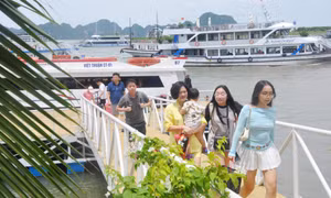 Hài hoà lợi ích khi gia tăng nguồn thu phí tham quan Vịnh Hạ Long