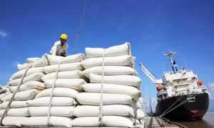 Gạo là mặt hàng xuất khẩu lớn nhất của Việt Nam sang thị trường Indonesia
