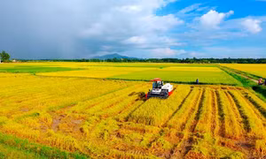 Duy trì đà tăng trưởng ngành nông nghiệp