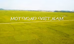 Một vòng Việt Nam