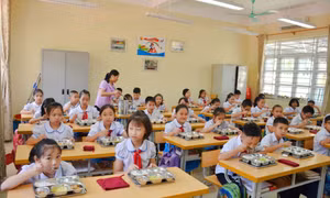 Hướng dẫn thu nộp thuế đối với các khoản thu tổ chức bán trú ngành giáo dục 