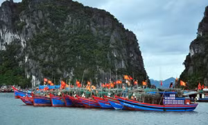 Quyết liệt loại bỏ "3 không" trong vi phạm IUU