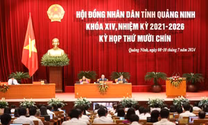 Trả lời nhanh, gọn, đi thẳng vào vấn đề