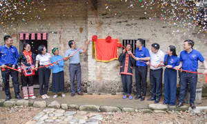 Dấu ấn mùa hè tình nguyện tại Đầm Hà