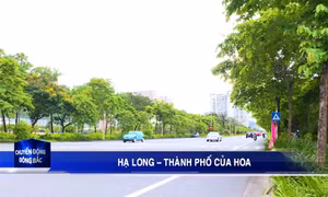 Hạ Long - Thành phố của hoa