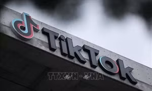 TikTok trở thành một trong những nền tảng thương mại điện tử lớn nhất Đông Nam Á