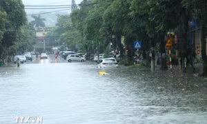 Bắc Bộ duy trì mưa dông diện rộng, cục bộ có nơi mưa rất to