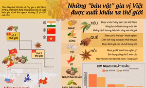 Những “báu vật” gia vị Việt được xuất khẩu ra thế giới