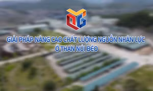 Giải pháp nâng cao chất lượng nguồn nhân lực ở Than Núi Béo
