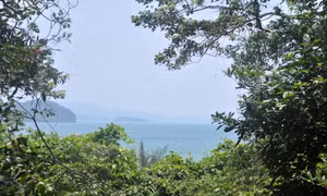 Đảo Ba Mùn xanh