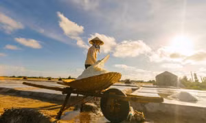 Về miền biển Nam Định thăm đồng muối Bạch Long