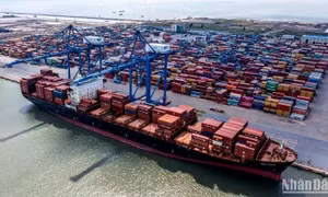 ADB: Nền kinh tế Việt Nam tiếp tục phục hồi ổn định