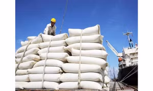 Giá gạo giảm chỉ là xu hướng ngắn hạn