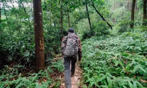 Kinh nghiệm cắm trại và trekking núi Hàm Lợn