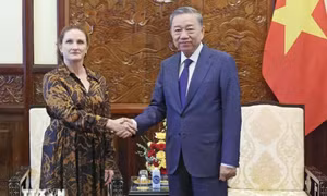 Chủ tịch nước Tô Lâm tiếp Đại sứ New Zealand tại Việt Nam Caroline Beresford