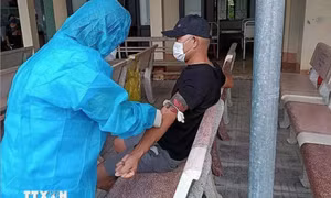 Việt Nam có bao nhiêu người mắc bệnh bạch hầu từ đầu năm 2024 đến nay? 
