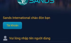 Một phụ nữ ở Thanh Hóa mất hơn 5 tỷ đồng vì nạp tiền chơi game
