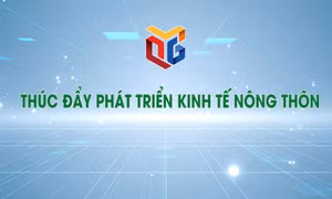 Thúc đẩy phát triển kinh tế nông thôn