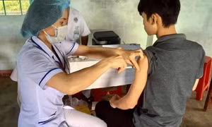 Các ca bệnh bạch hầu đang xuất hiện một cách lẻ tẻ 