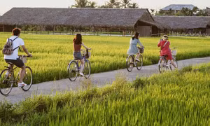 Hỗ trợ người dân tiếp cận nguồn vốn phát triển sản xuất lĩnh vực du lịch, dịch vụ nông nghiệp, nông thôn