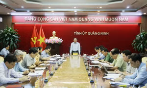 Giao ban Thường trực Tỉnh ủy