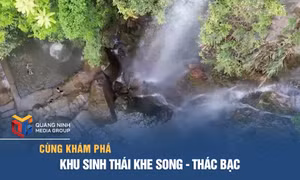 Khu sinh thái Khe Song - Thác Bạc