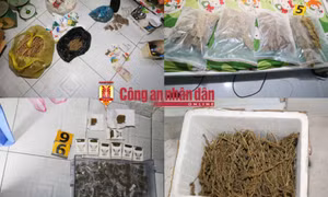 Bắt 2 đối tượng mua bán ma túy, thu giữ trên 150 bịch, thùng cần sa