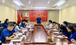 Đảng bộ Cơ quan Tỉnh đoàn triển khai nhiệm vụ 6 tháng cuối năm