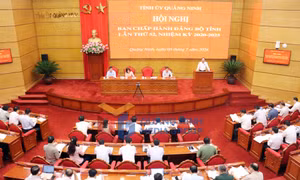 Tập trung chuẩn bị tổ chức Đại hội Đảng bộ các cấp tiến tới Đại hội Đại biểu Đảng bộ tỉnh lần thứ XVI
