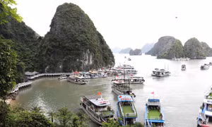 Từ 12 giờ ngày 22/7, tạm ngừng cấp phép cho các phương tiện thuỷ ra khơi