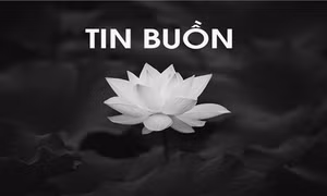 Tin buồn