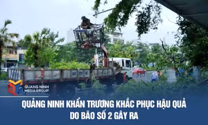 Quảng Ninh khẩn trương khắc phục hậu quả do bão số 2 gây ra