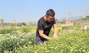 Xây dựng hình ảnh người nông dân giàu có, chuyên nghiệp, hiện đại