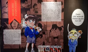 Fan Conan mòn mỏi chờ bộ truyện kết thúc